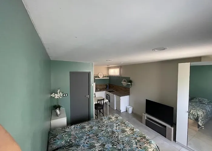 Equipped Studio, 2 Per Day Acces To A Private Swinmming Pool Montferrier-sur-Lez